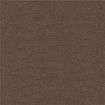 Boutique Java by Kasmir Fabric 5028 87% Rayon 13% Polyester INDIA 50,000 Wyzenbeek Double Rubs H: N/A, V: N/A 54 - 56 - Fabric Carolina - Kasmir