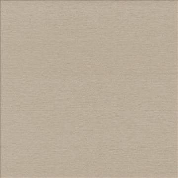 Boutique Latte by Kasmir Fabric 5028 87% Rayon 13% Polyester INDIA 50,000 Wyzenbeek Double Rubs H: N/A, V: N/A 54 - 56 - Fabric Carolina - Kasmir