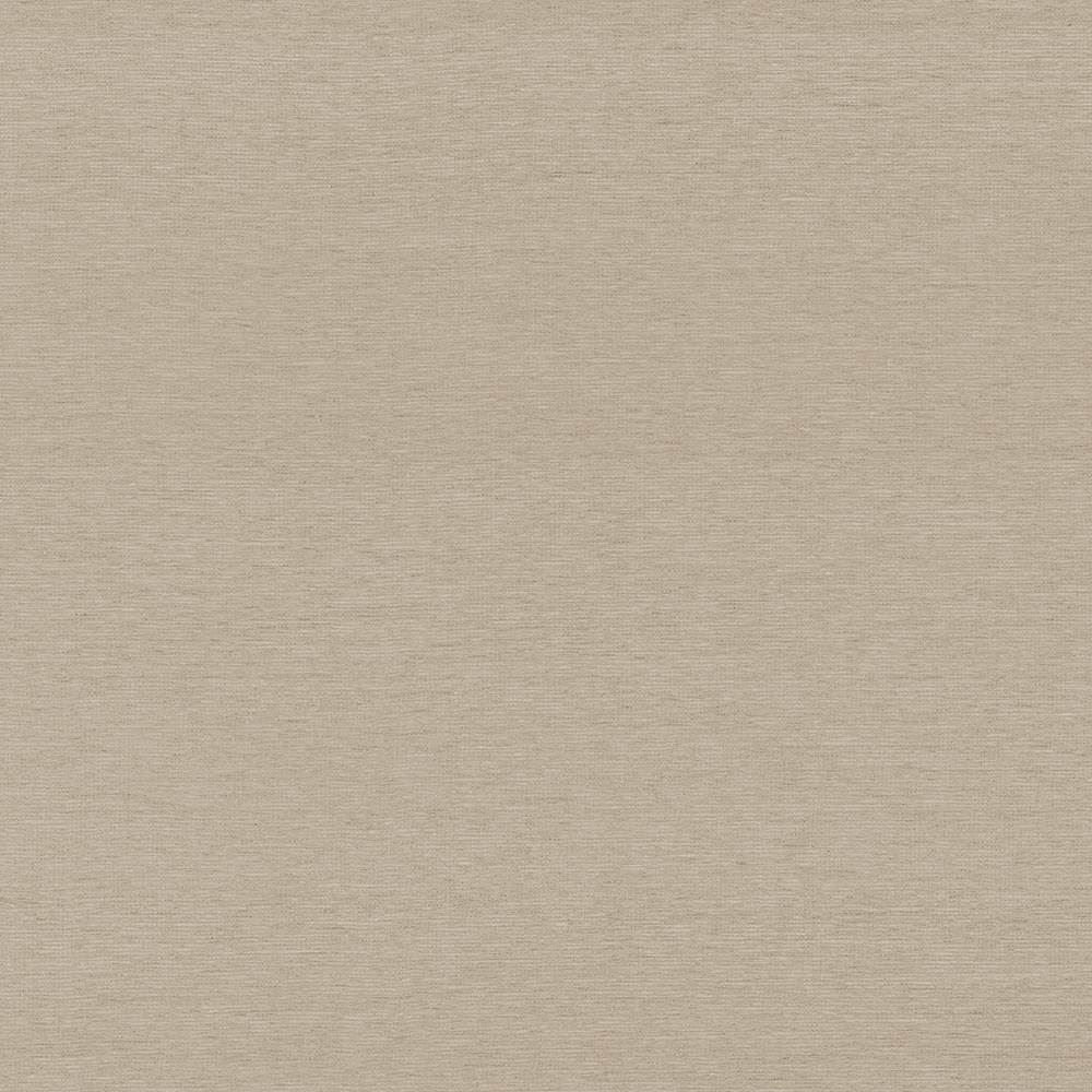 Boutique Latte by Kasmir Fabric 5028 87% Rayon
13% Polyester
 INDIA 50,000 Wyzenbeek Double Rubs Horizontal: N/A and Vertical: N/A 54 - Fabric Carolina -