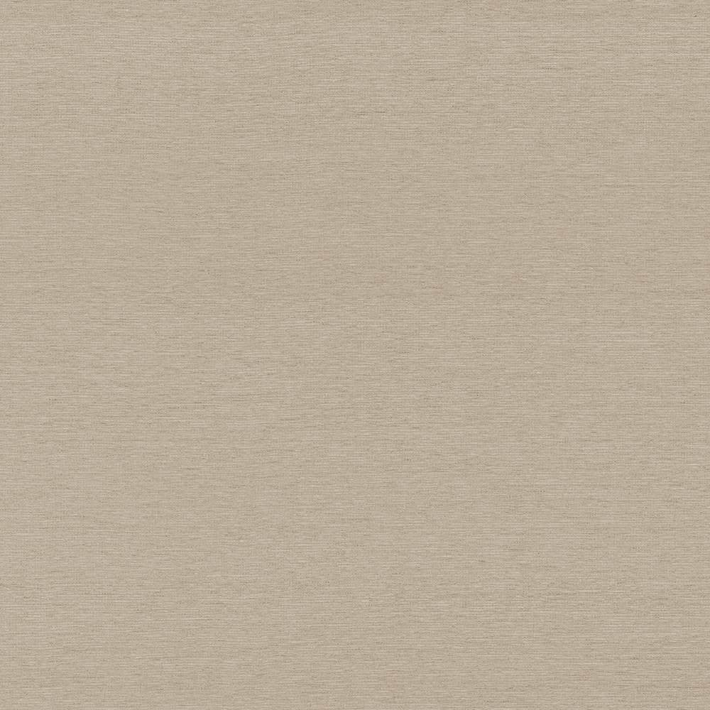 Boutique Latte by Kasmir Fabric 5028 87% Rayon 13% Polyester INDIA 50,000 Wyzenbeek Double Rubs H: N/A, V:N/A 54 - 56 - Fabric Carolina - Kasmir