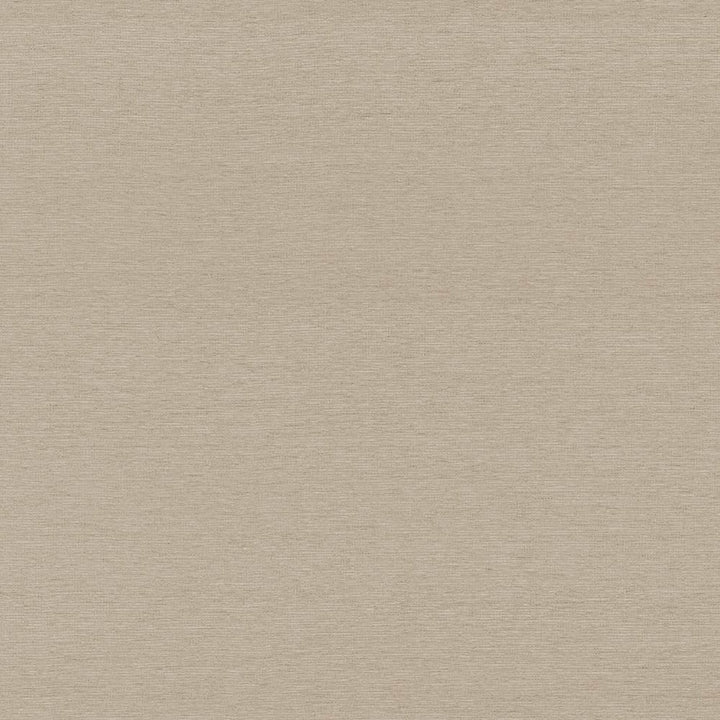 Boutique Latte by Kasmir Fabric 5028 87% Rayon 13% Polyester INDIA 50,000 Wyzenbeek Double Rubs H: N/A, V:N/A 54 - 56 - Fabric Carolina - Kasmir