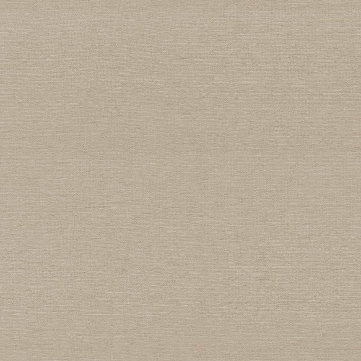 Boutique Latte by Kasmir Fabric 5028 87% Rayon
13% Polyester
 INDIA </p><p>Repeat: Horizontal: N/A and Vertical: N/A 54 - 56 - Fabric Carolina -