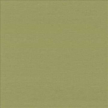 Boutique Leaf by Kasmir Fabric 5028 87% Rayon 13% Polyester INDIA 50,000 Wyzenbeek Double Rubs H: N/A, V: N/A 54 - 56 - Fabric Carolina - Kasmir