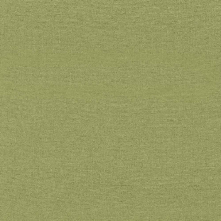 Boutique Leaf by Kasmir Fabric 5028 87% Rayon
13% Polyester
 INDIA 50,000 Wyzenbeek Double Rubs </p><p>Repeat: Horizontal: N/A and Vertical: N/A 54 - Fabric Carolina -