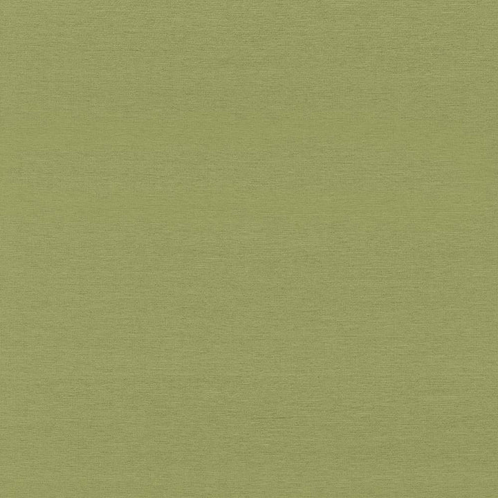 Boutique Leaf by Kasmir Fabric 5028 87% Rayon 13% Polyester INDIA 50,000 Wyzenbeek Double Rubs H: N/A, V:N/A 54 - 56 - Fabric Carolina - Kasmir