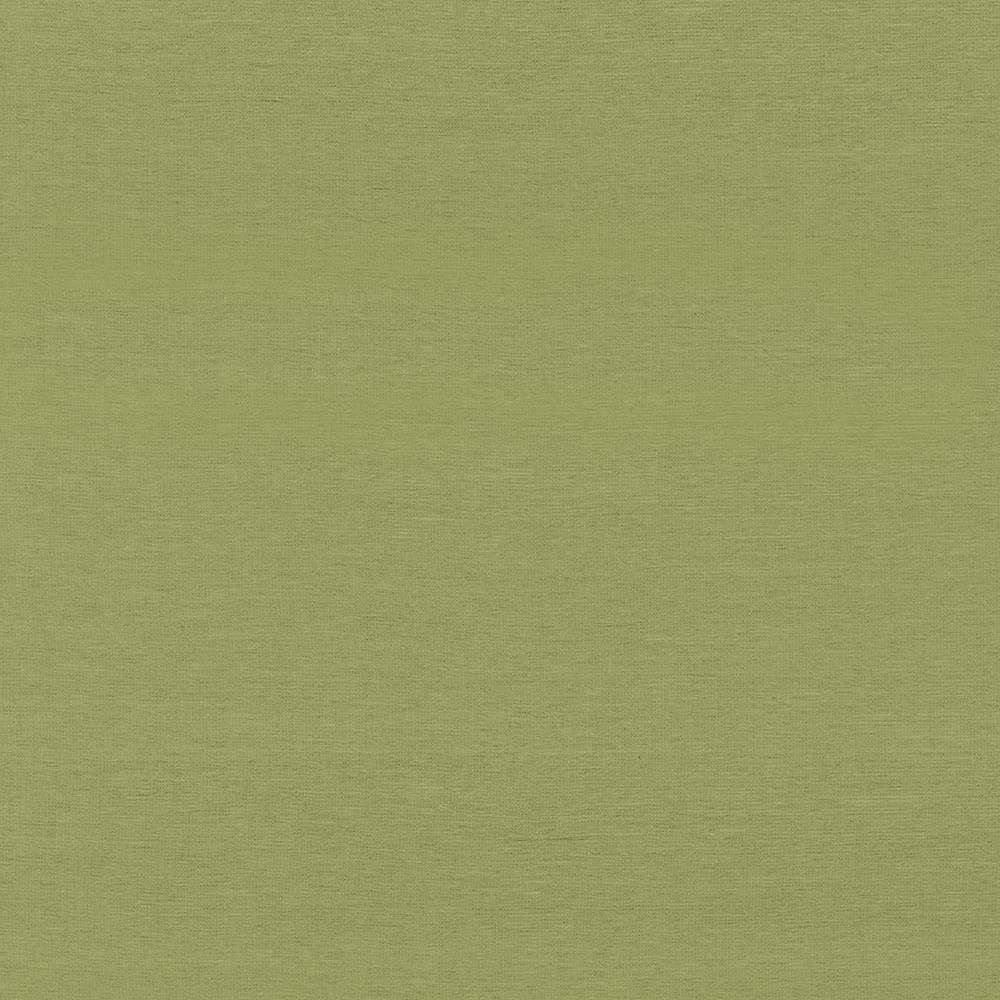 Boutique Leaf by Kasmir Fabric 5028 87% Rayon
13% Polyester
 INDIA </p><p>Repeat: Horizontal: N/A and Vertical: N/A 54 - 56 - Fabric Carolina -