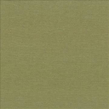 Boutique Lemongrass by Kasmir Fabric 5028 87% Rayon 13% Polyester INDIA 50,000 Wyzenbeek Double Rubs H: N/A, V: N/A 54 - 56 - Fabric Carolina - Kasmir
