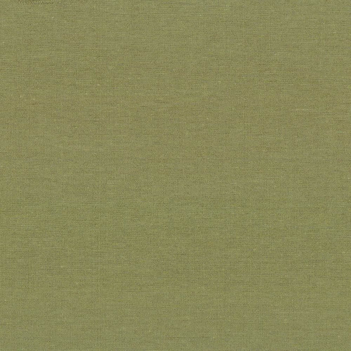 Boutique Lemongrass by Kasmir Fabric 5028 87% Rayon
13% Polyester
 INDIA 50,000 Wyzenbeek Double Rubs </p><p>Repeat: Horizontal: N/A and Vertical: N/A 54 - Fabric Carolina -