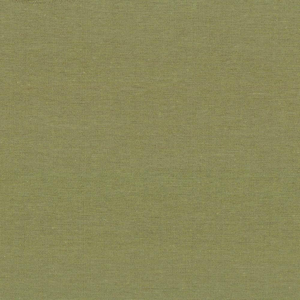 Boutique Lemongrass by Kasmir Fabric 5028 87% Rayon 13% Polyester INDIA 50,000 Wyzenbeek Double Rubs H: N/A, V:N/A 54 - 56 - Fabric Carolina - Kasmir