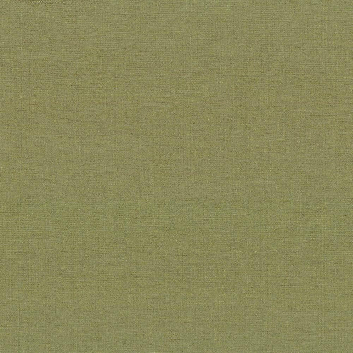 Boutique Lemongrass by Kasmir Fabric 5028 87% Rayon 13% Polyester INDIA 50,000 Wyzenbeek Double Rubs H: N/A, V:N/A 54 - 56 - Fabric Carolina - Kasmir