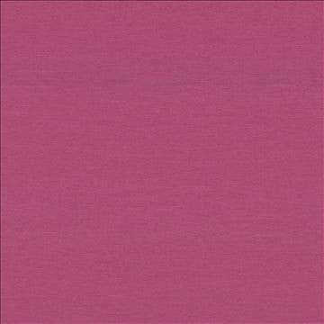 Boutique Magenta by Kasmir Fabric 5028 87% Rayon 13% Polyester INDIA 50,000 Wyzenbeek Double Rubs H: N/A, V: N/A 54 - 56 - Fabric Carolina - Kasmir