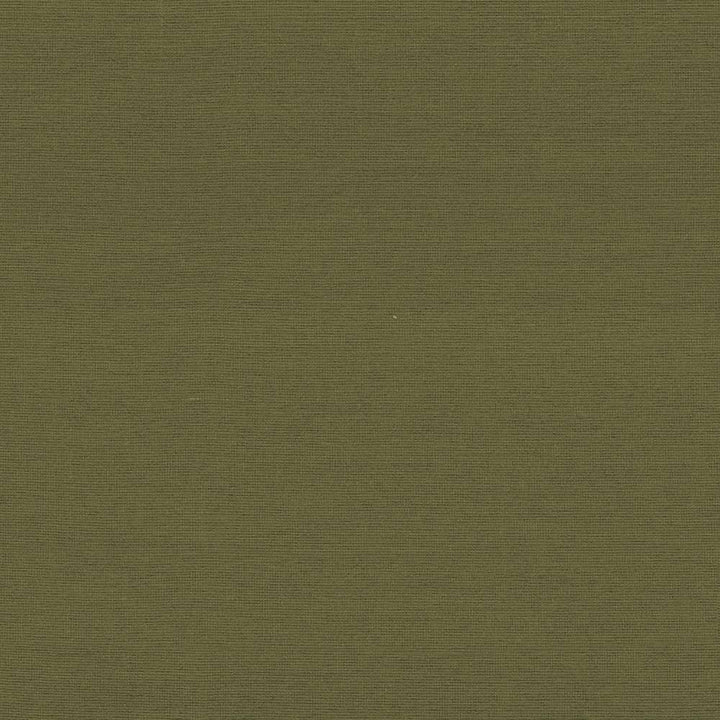Boutique Martini by Kasmir Fabric 5028 87% Rayon 13% Polyester INDIA 50,000 Wyzenbeek Double Rubs H: N/A, V:N/A 54 - 56 - Fabric Carolina - Kasmir