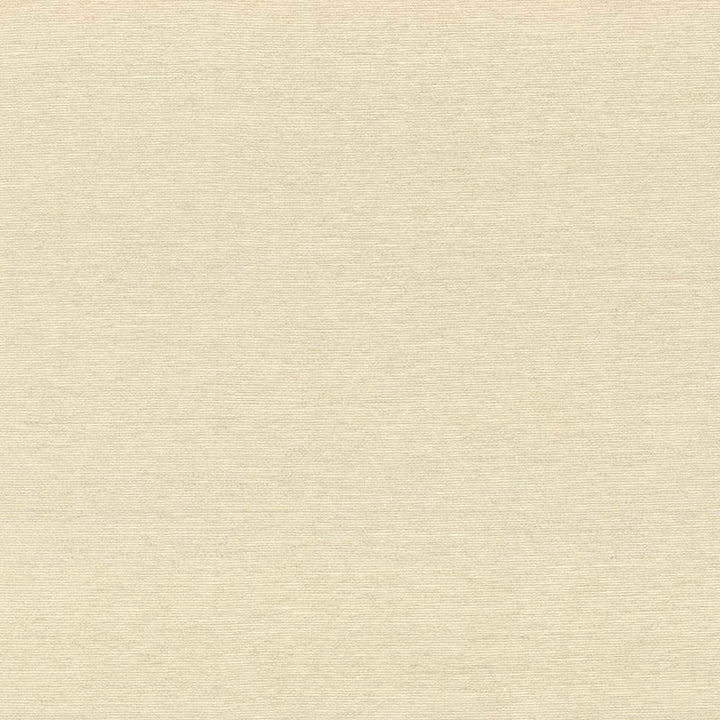 Boutique Parchment by Kasmir Fabric 5028 87% Rayon
13% Polyester
 INDIA 50,000 Wyzenbeek Double Rubs Horizontal: N/A and Vertical: N/A 54 - Fabric Carolina -