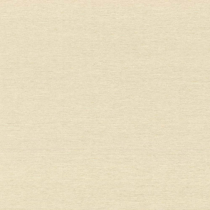 Boutique Parchment by Kasmir Fabric 5028 87% Rayon 13% Polyester INDIA 50,000 Wyzenbeek Double Rubs H: N/A, V:N/A 54 - 56 - Fabric Carolina - Kasmir