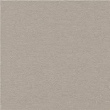 Boutique Pewter by Kasmir Fabric 5028 87% Rayon 13% Polyester INDIA 50,000 Wyzenbeek Double Rubs H: N/A, V: N/A 54 - 56 - Fabric Carolina - Kasmir