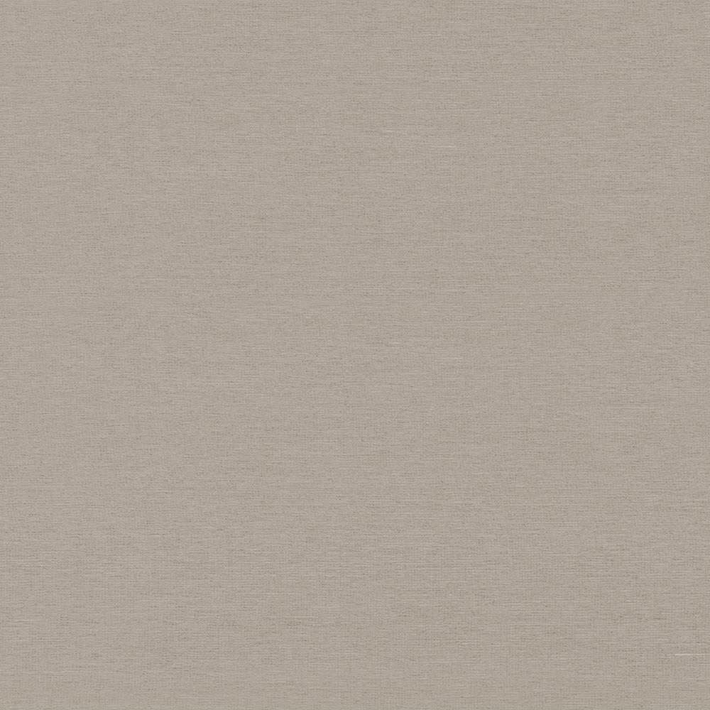 Boutique Pewter by Kasmir Fabric 5028 87% Rayon
13% Polyester
 INDIA 50,000 Wyzenbeek Double Rubs Horizontal: N/A and Vertical: N/A 54 - Fabric Carolina -