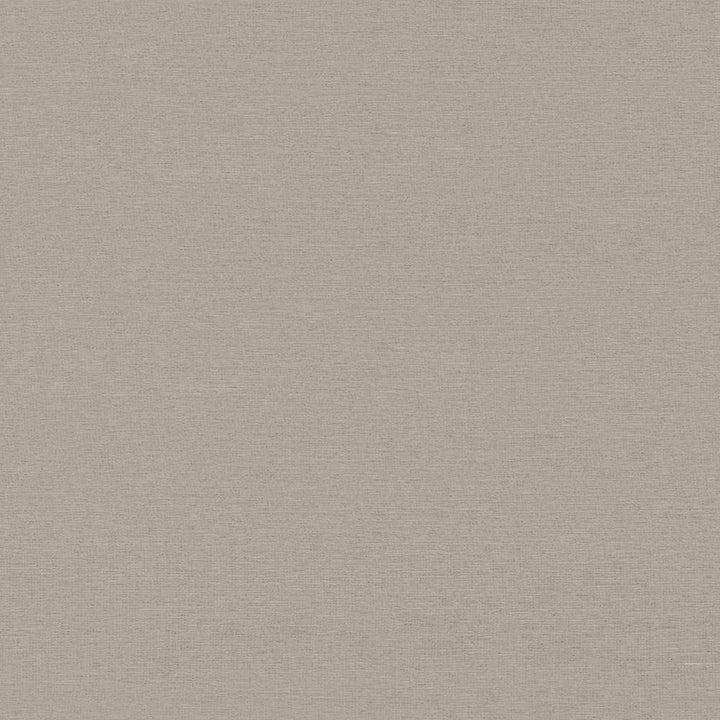 Boutique Pewter by Kasmir Fabric 5028 87% Rayon 13% Polyester INDIA 50,000 Wyzenbeek Double Rubs H: N/A, V:N/A 54 - 56 - Fabric Carolina - Kasmir