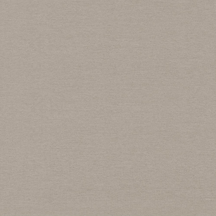 Boutique Pewter by Kasmir Fabric 5028 87% Rayon
13% Polyester
 INDIA 50,000 Wyzenbeek Double Rubs </p><p>Repeat: Horizontal: N/A and Vertical: N/A 54 - Fabric Carolina -