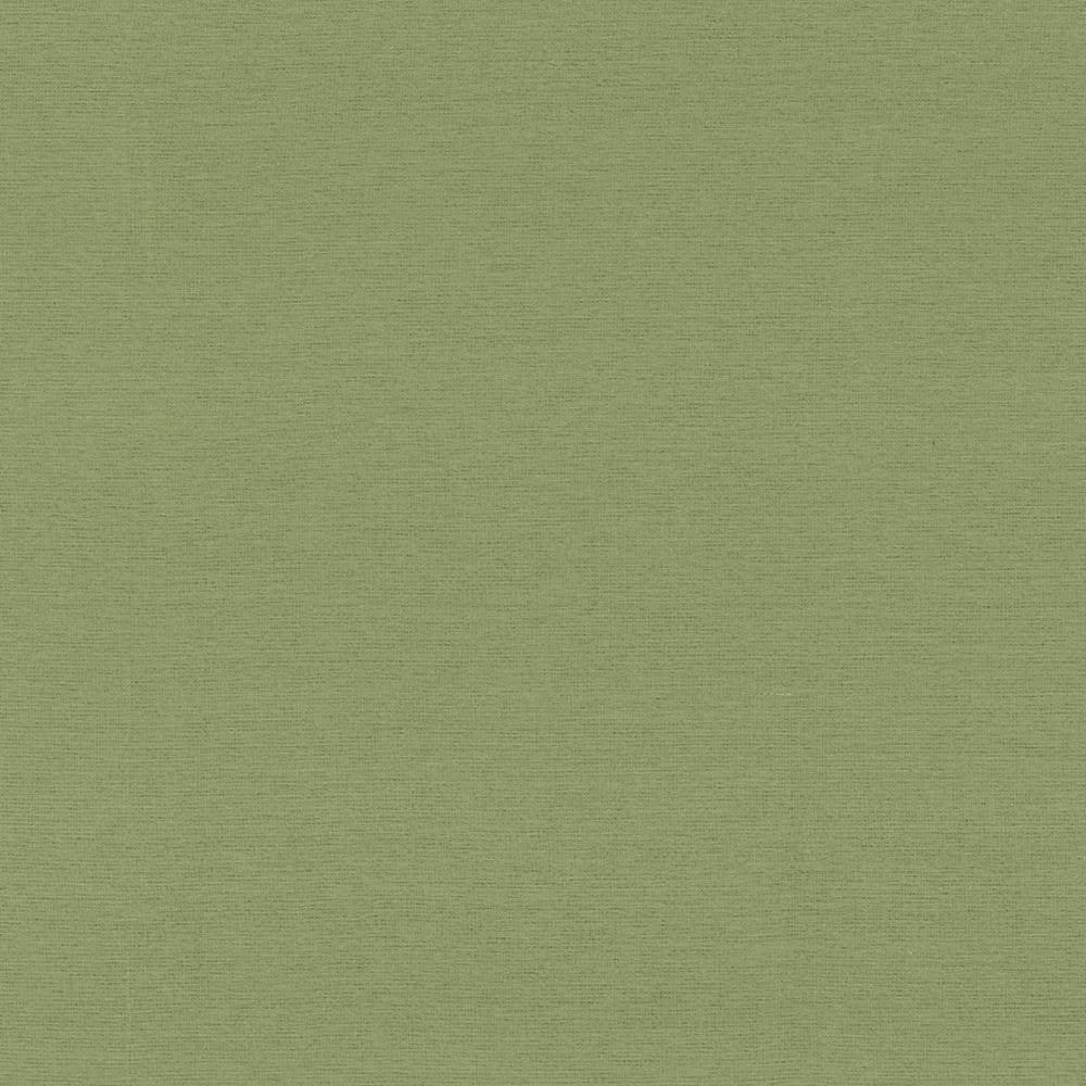Boutique Sage by Kasmir Fabric 5028 87% Rayon 13% Polyester INDIA 50,000 Wyzenbeek Double Rubs H: N/A, V:N/A 54 - 56 - Fabric Carolina - Kasmir