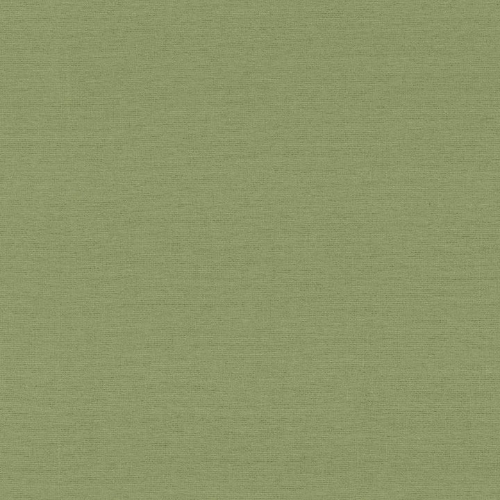 Boutique Sage by Kasmir Fabric 5028 87% Rayon 13% Polyester INDIA 50,000 Wyzenbeek Double Rubs H: N/A, V:N/A 54 - 56 - Fabric Carolina - Kasmir