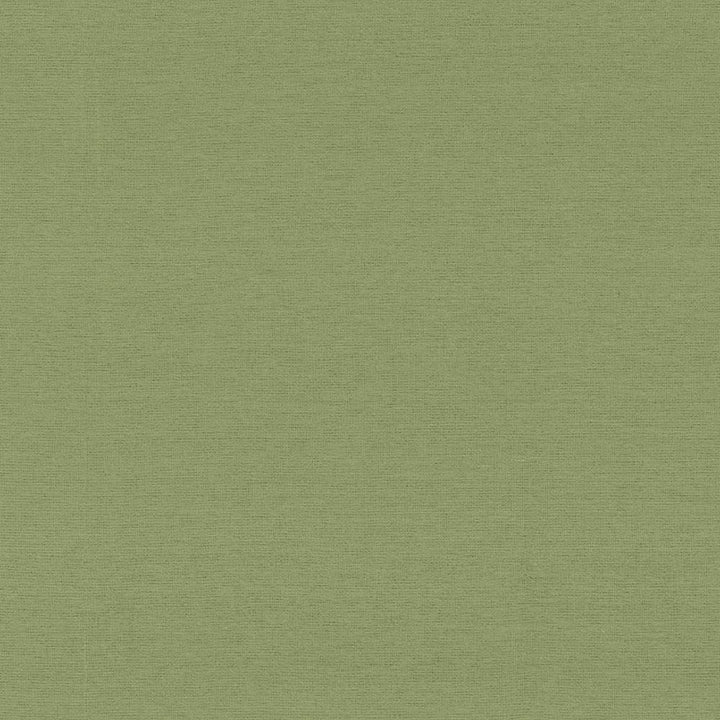 Boutique Sage by Kasmir Fabric 5028 87% Rayon
13% Polyester
 INDIA 50,000 Wyzenbeek Double Rubs Horizontal: N/A and Vertical: N/A 54 - Fabric Carolina -