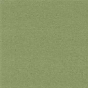 Boutique Sage by Kasmir Fabric 5028 87% Rayon 13% Polyester INDIA 50,000 Wyzenbeek Double Rubs H: N/A, V: N/A 54 - 56 - Fabric Carolina - Kasmir