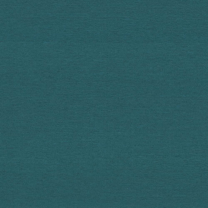 Boutique Teal by Kasmir Fabric 5028 87% Rayon
13% Polyester
 INDIA 50,000 Wyzenbeek Double Rubs </p><p>Repeat: Horizontal: N/A and Vertical: N/A 54 - Fabric Carolina -