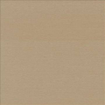 Boutique Treasure by Kasmir Fabric 5028 87% Rayon 13% Polyester INDIA 50,000 Wyzenbeek Double Rubs H: N/A, V: N/A 54 - 56 - Fabric Carolina - Kasmir