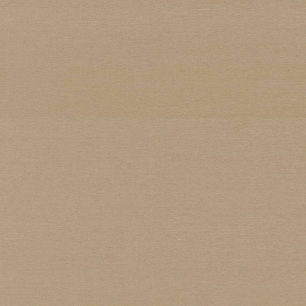 Boutique Treasure by Kasmir Fabric 5028 87% Rayon 13% Polyester INDIA 50,000 Wyzenbeek Double Rubs H: N/A, V:N/A 54 - 56 - Fabric Carolina - Kasmir
