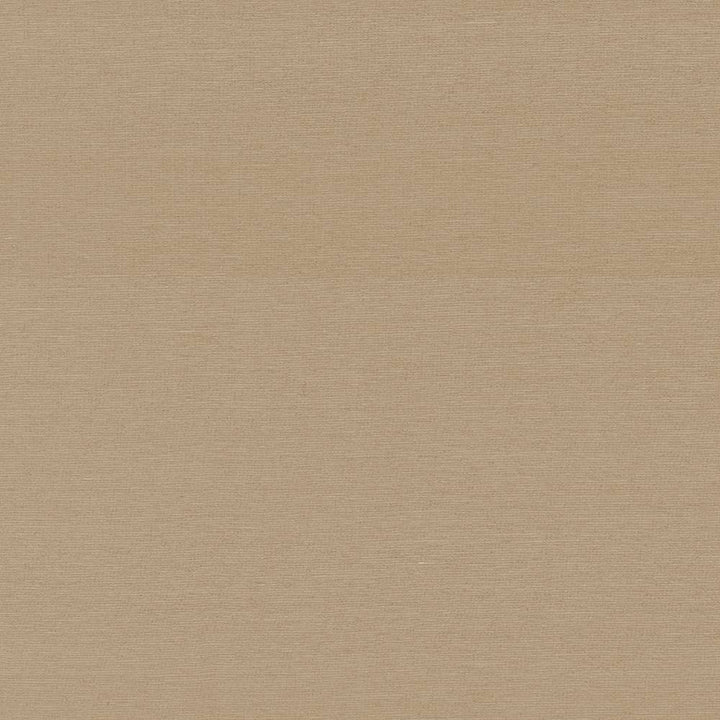 Boutique Treasure by Kasmir Fabric 5028 87% Rayon 13% Polyester INDIA 50,000 Wyzenbeek Double Rubs H: N/A, V:N/A 54 - 56 - Fabric Carolina - Kasmir