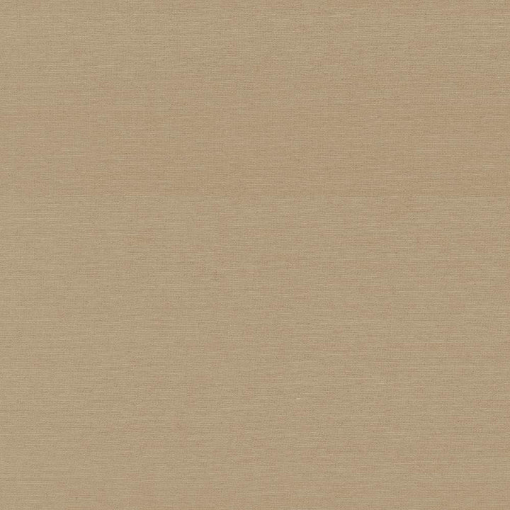 Boutique Treasure by Kasmir Fabric 5028 87% Rayon
13% Polyester
 INDIA 50,000 Wyzenbeek Double Rubs Horizontal: N/A and Vertical: N/A 54 - Fabric Carolina -