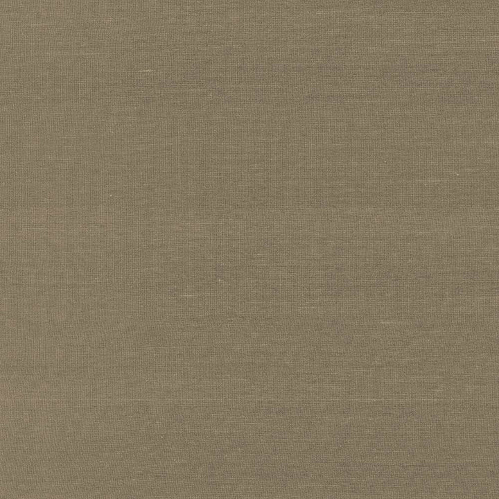 Boutique Umber by Kasmir Fabric 5028 87% Rayon
13% Polyester
 INDIA 50,000 Wyzenbeek Double Rubs </p><p>Repeat: Horizontal: N/A and Vertical: N/A 54 - Fabric Carolina -