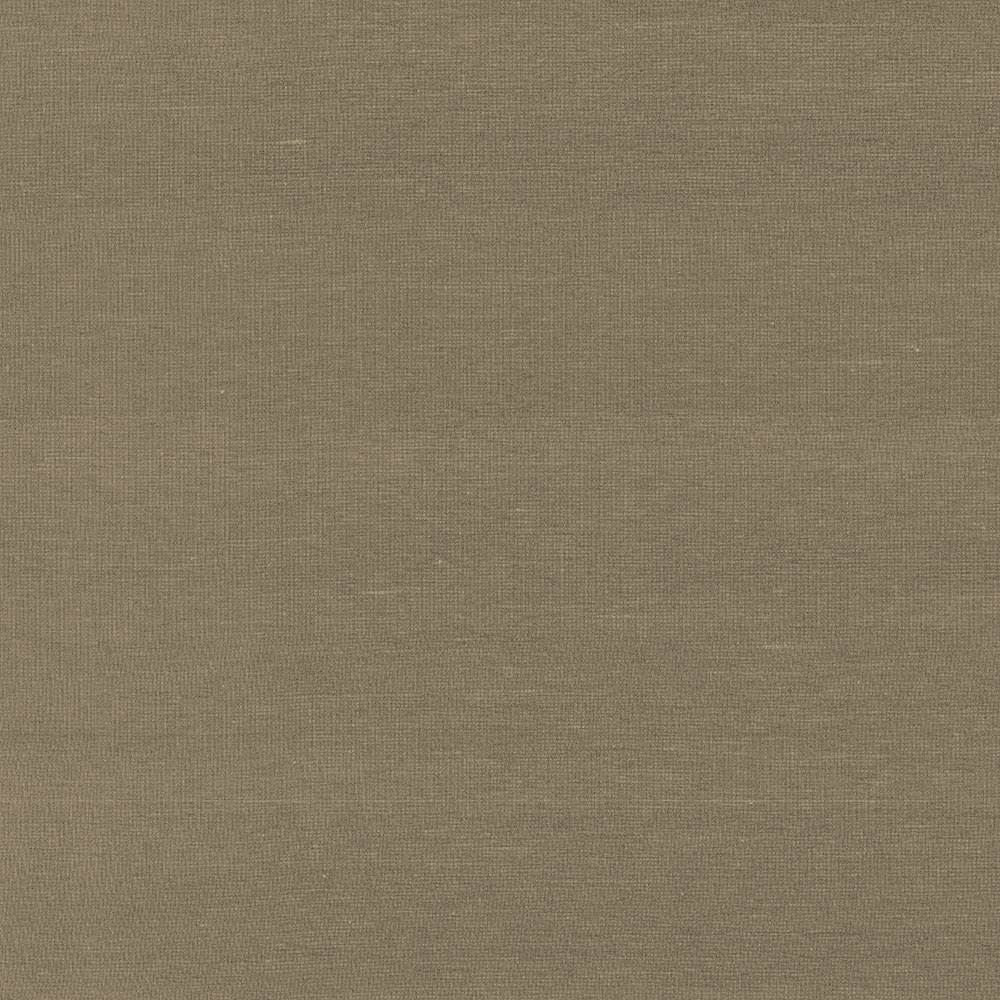 Boutique Umber by Kasmir Fabric 5028 87% Rayon 13% Polyester INDIA 50,000 Wyzenbeek Double Rubs Horizontal: 0 Inches and Vertical: 0 Inches 54 - 56 - Fabric Carolina -