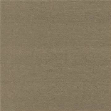 Boutique Umber by Kasmir Fabric 5028 87% Rayon 13% Polyester INDIA 50,000 Wyzenbeek Double Rubs H: N/A, V: N/A 54 - 56 - Fabric Carolina - Kasmir