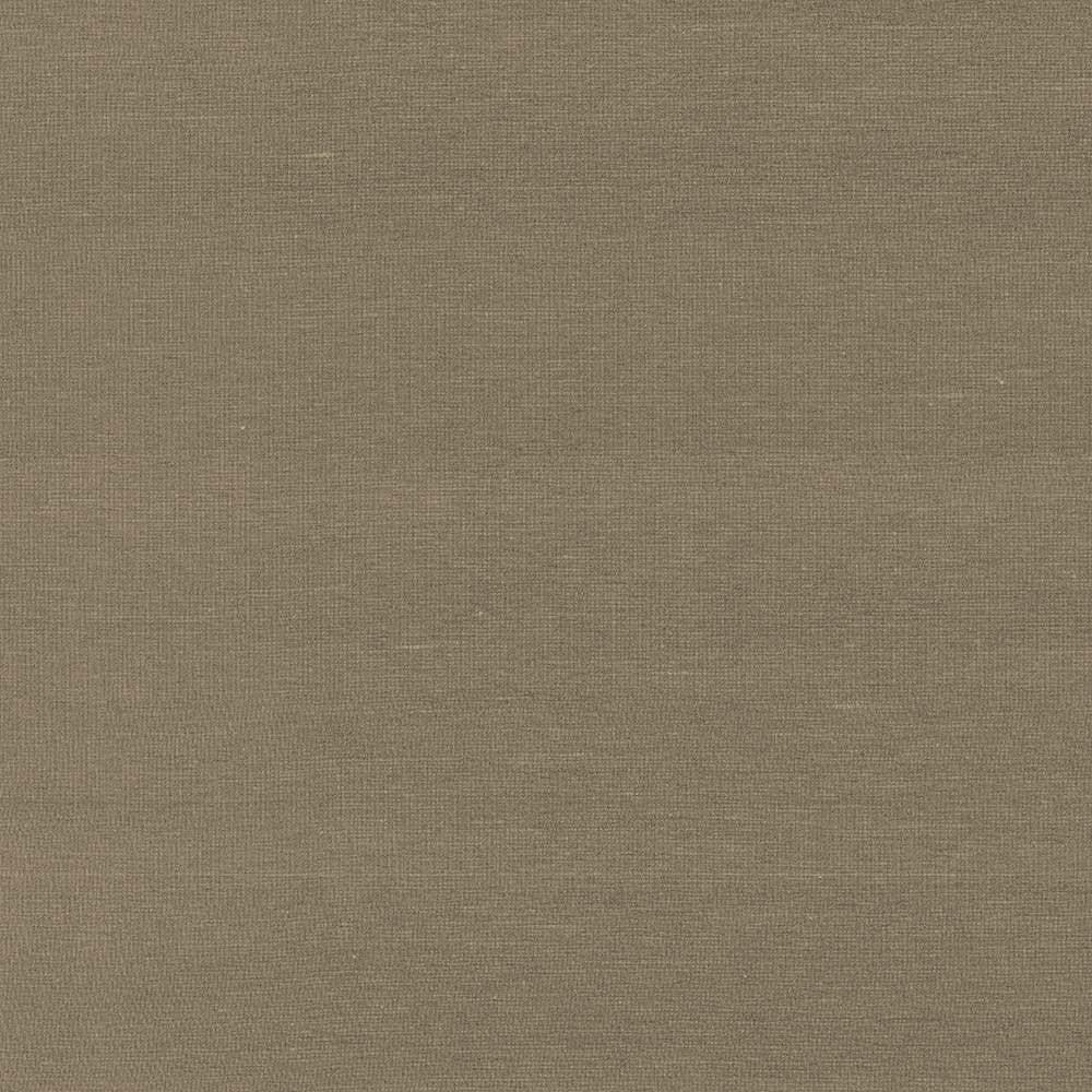 Boutique Umber by Kasmir Fabric 5028 87% Rayon 13% Polyester INDIA 50,000 Wyzenbeek Double Rubs H: N/A, V:N/A 54 - 56 - Fabric Carolina - Kasmir