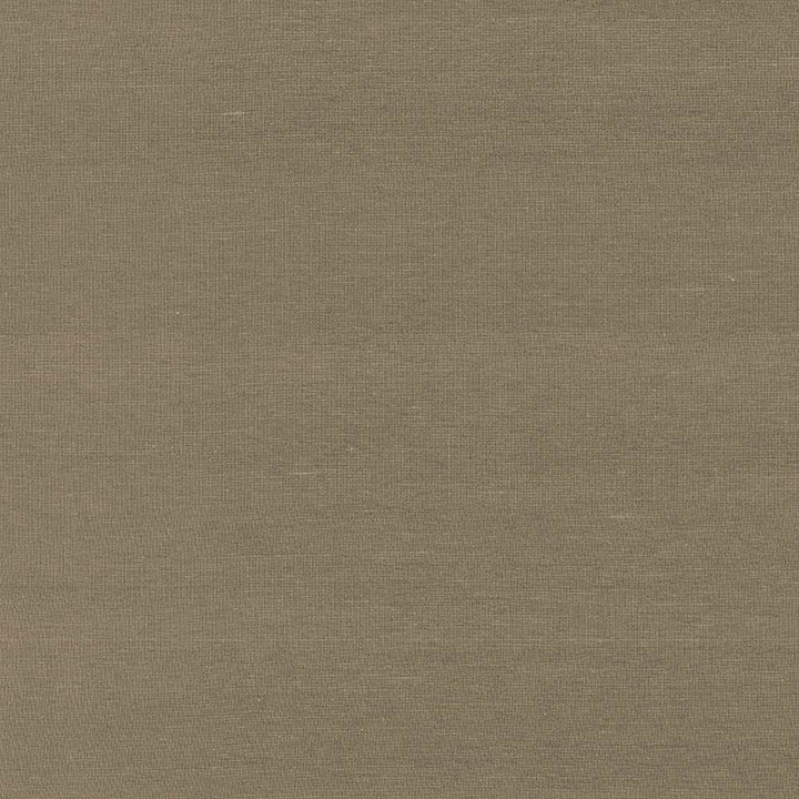Boutique Umber by Kasmir Fabric 5028 87% Rayon 13% Polyester INDIA 50,000 Wyzenbeek Double Rubs H: N/A, V:N/A 54 - 56 - Fabric Carolina - Kasmir
