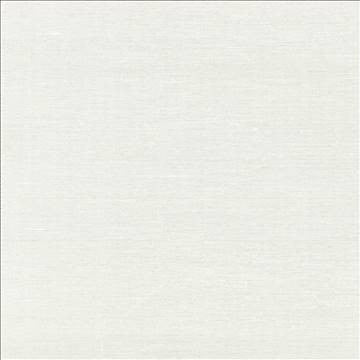 Boutique Vanilla by Kasmir Fabric 5028 87% Rayon 13% Polyester INDIA 50,000 Wyzenbeek Double Rubs H: N/A, V: N/A 54 - 56 - Fabric Carolina - Kasmir