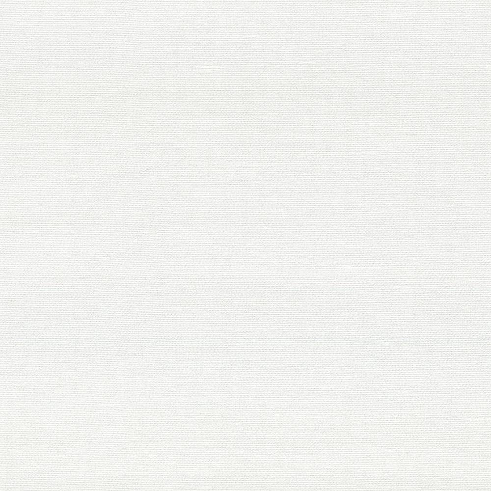 Boutique White by Kasmir Fabric 5028 87% Rayon 13% Polyester INDIA 50,000 Wyzenbeek Double Rubs H: N/A, V:N/A 54 - 56 - Fabric Carolina - Kasmir