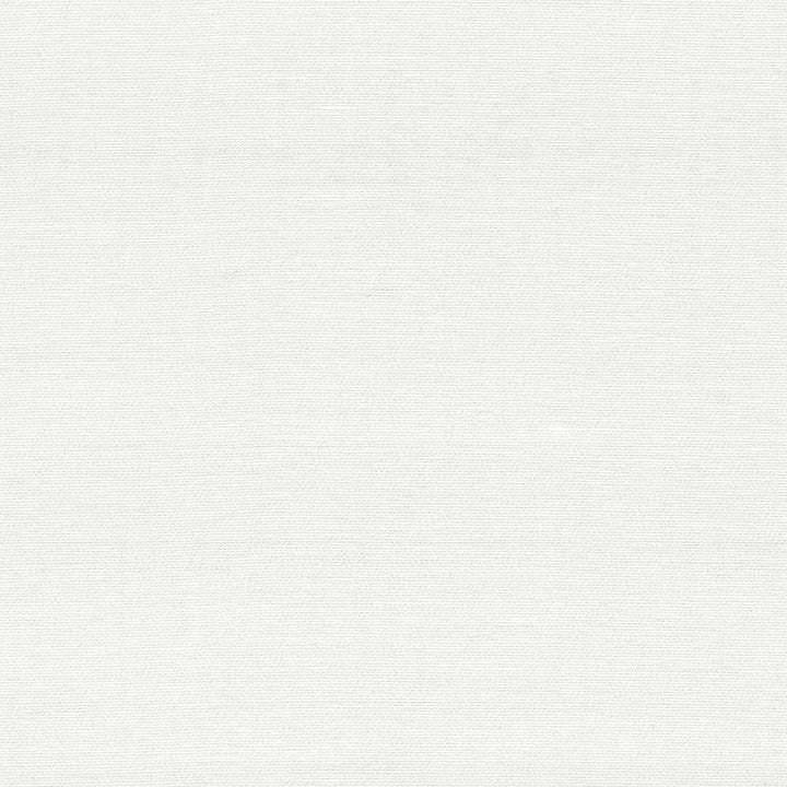 Boutique White by Kasmir Fabric 5028 87% Rayon 13% Polyester INDIA 50,000 Wyzenbeek Double Rubs H: N/A, V:N/A 54 - 56 - Fabric Carolina - Kasmir
