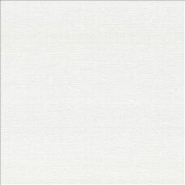 Boutique White by Kasmir Fabric 5028 87% Rayon 13% Polyester INDIA 50,000 Wyzenbeek Double Rubs H: N/A, V: N/A 54 - 56 - Fabric Carolina - Kasmir