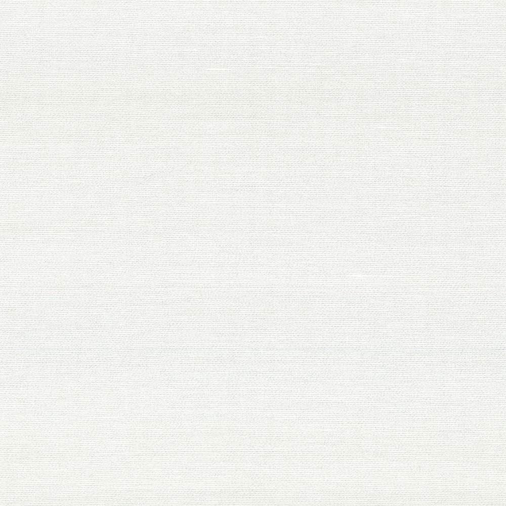 Boutique White by Kasmir Fabric 5028 87% Rayon
13% Polyester
 INDIA </p><p>Repeat: Horizontal: N/A and Vertical: N/A 54 - 56 - Fabric Carolina -
