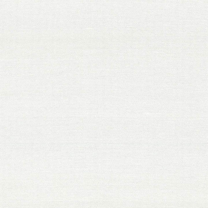 Boutique White by Kasmir Fabric 5028 87% Rayon
13% Polyester
 INDIA </p><p>Repeat: Horizontal: N/A and Vertical: N/A 54 - 56 - Fabric Carolina -