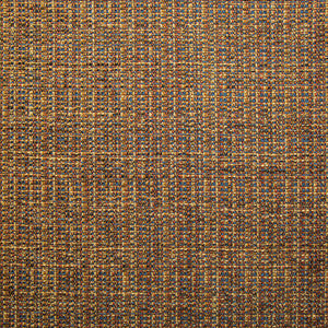 Bouvier Americana by Kasmir Fabric