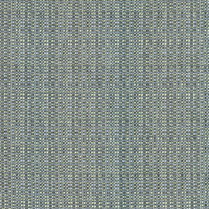 Bouvier Aquarius  by Kasmir Fabric
