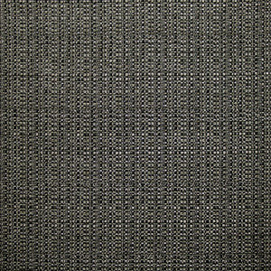 Bouvier Granite by Kasmir Fabric