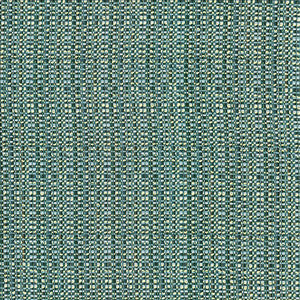 Bouvier Peacock  by Kasmir Fabric