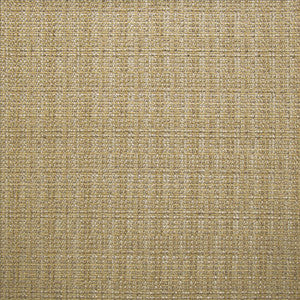 Bouvier Sisal by Kasmir Fabric