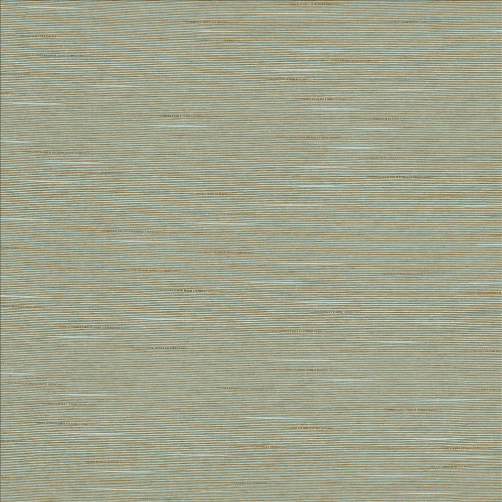 Boxwood Azure by Kasmir Fabric 5149 55% Cotton
45% Polyester
 TAIWAN 30,000 Wyzenbeek Double Rubs </p><p>Repeat: Horizontal: N/A and Vertical: N/A 54 - Fabric Carolina -