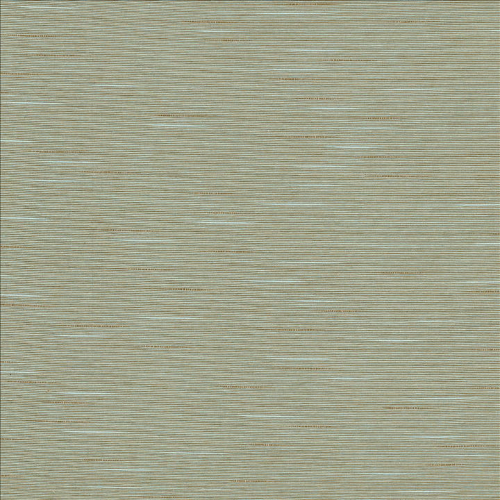 Boxwood Azure by Kasmir Fabric 5149 55% Cotton
45% Polyester
 TAIWAN 30,000 Wyzenbeek Double Rubs </p><p>Repeat: Horizontal: N/A and Vertical: N/A 54 - Fabric Carolina -