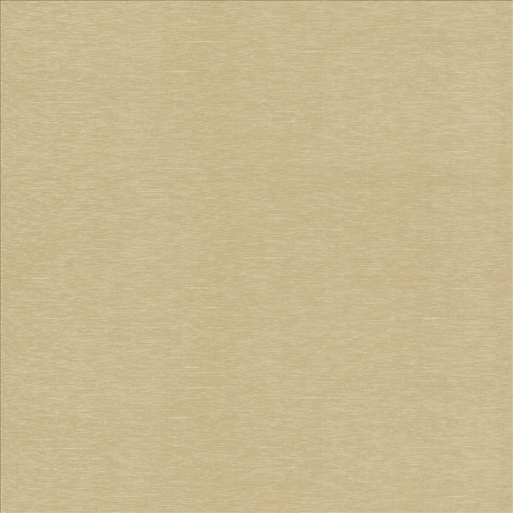 Boxwood Beige by Kasmir Fabric 5149 55% Cotton
45% Polyester
 TAIWAN 30,000 Wyzenbeek Double Rubs </p><p>Repeat: Horizontal: N/A and Vertical: N/A 54 - Fabric Carolina -